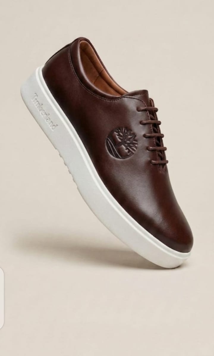 Chaussures Timberland