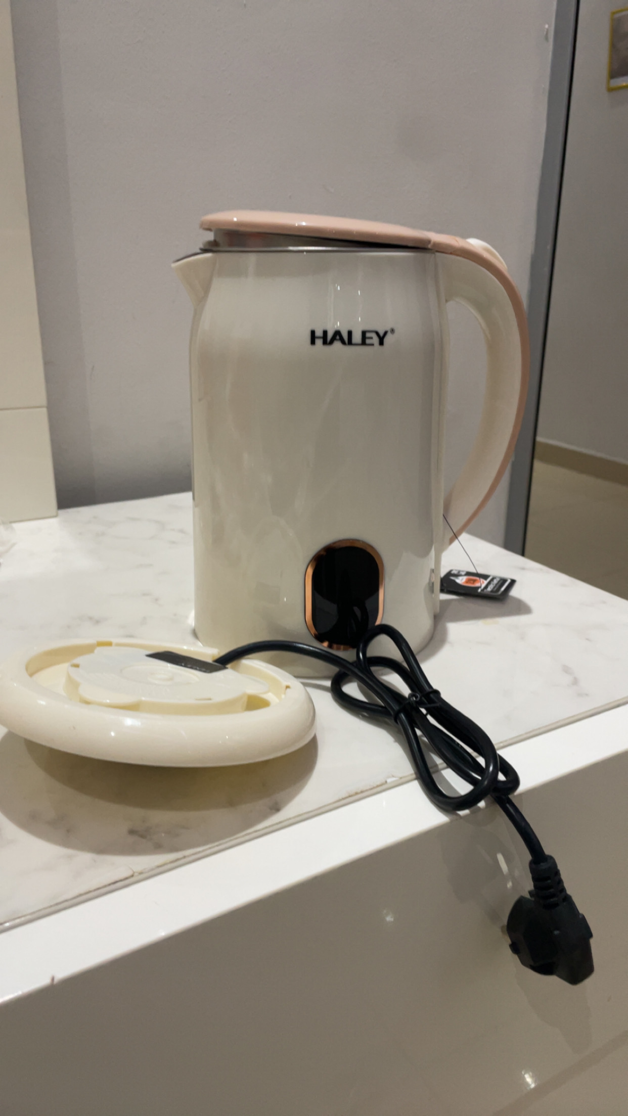 Bouilloire electrique Haley
