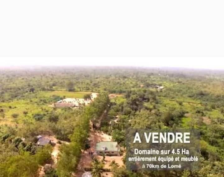 Domaine de 4,5 Hectares Titres à Vendre à Amoussoukopé