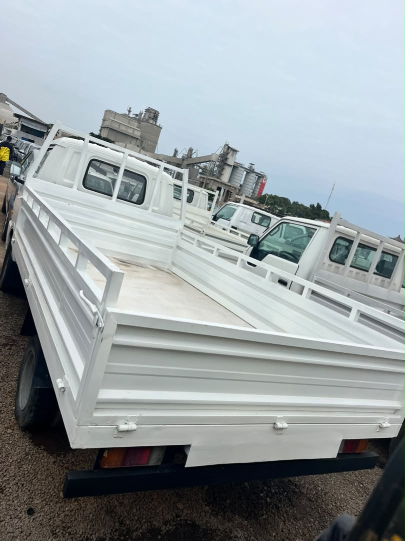 CAMION DYNA