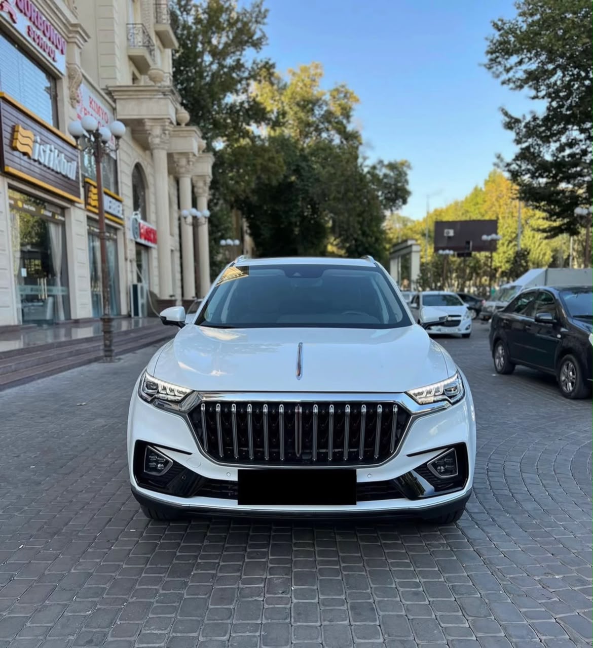HONGQI HS5