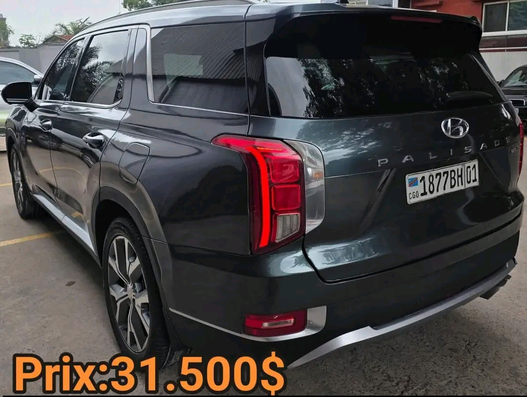 Hyundai Palisade 4x4 d’Occasion