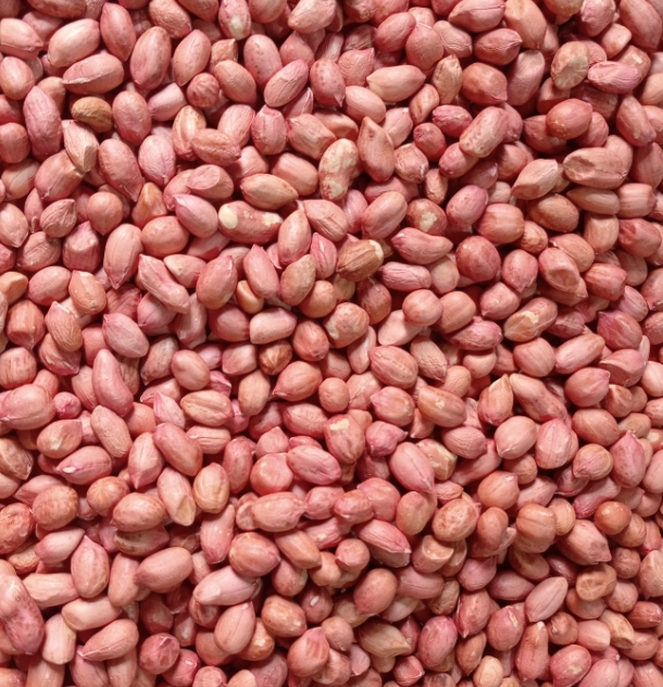 Arachides naturelles de qualité