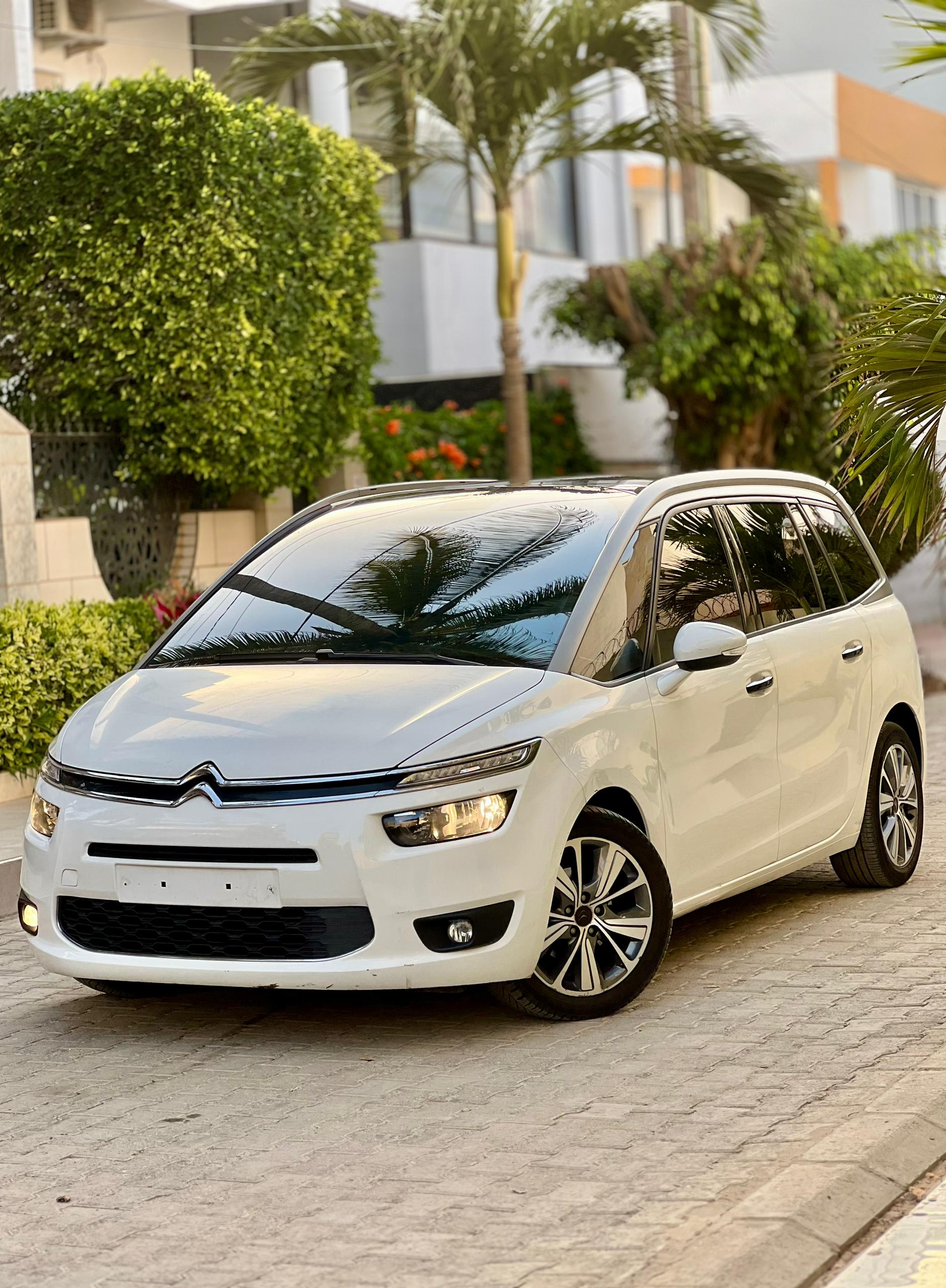 Citroën C4 Picasso 2017
