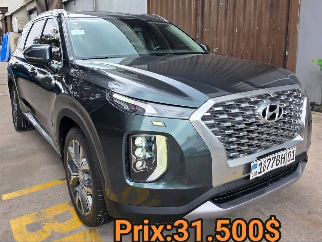Hyundai Palisade 4x4 d’Occasion