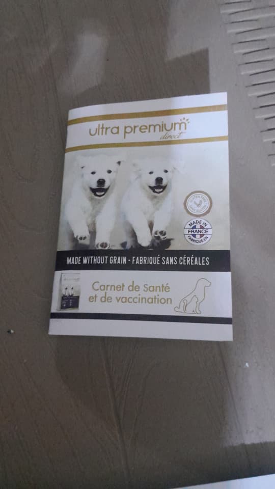 Chiot Rottweiler pure race 2 mois vacciné