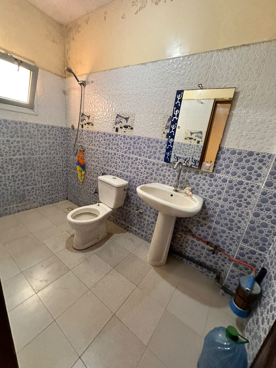 Studio Séparé à Louer