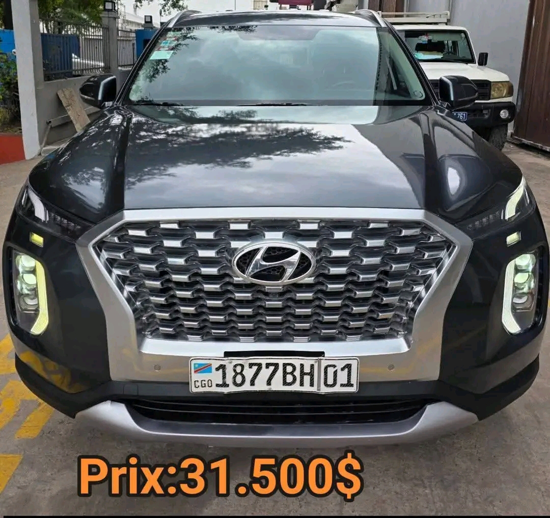 Hyundai Palisade 4x4 d’Occasion
