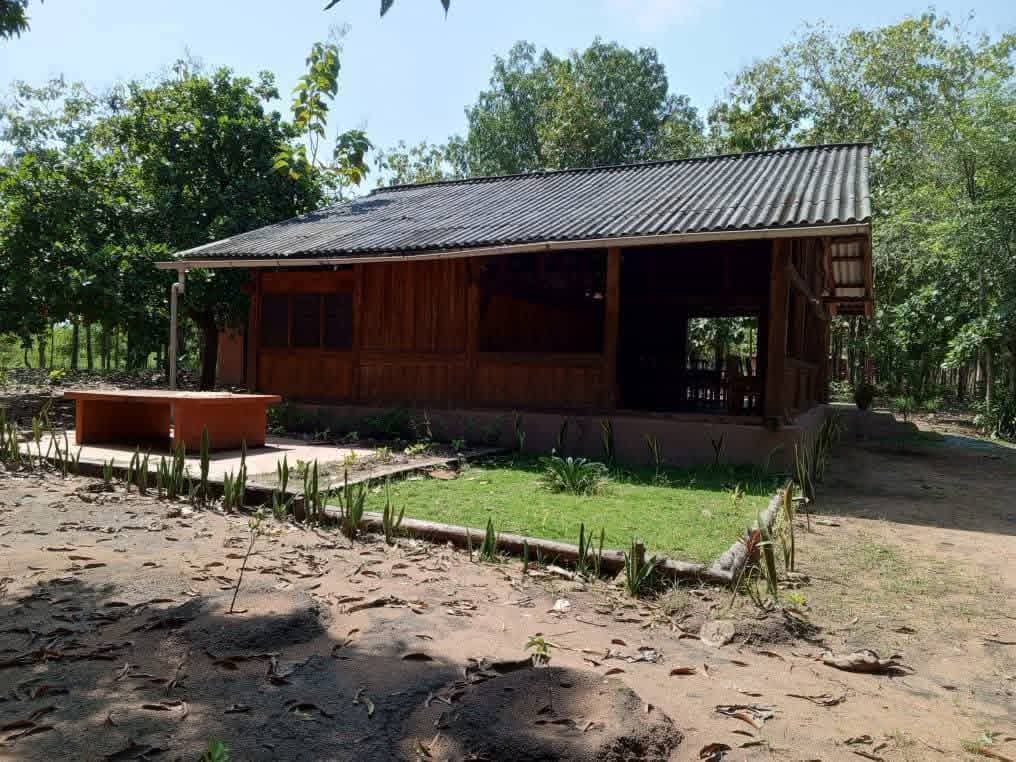 Domaine de 4,5 Hectares Titres à Vendre à Amoussoukopé