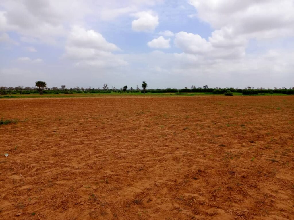 Terrain Agricole de 1,27 Hectare à Vendre à Notto