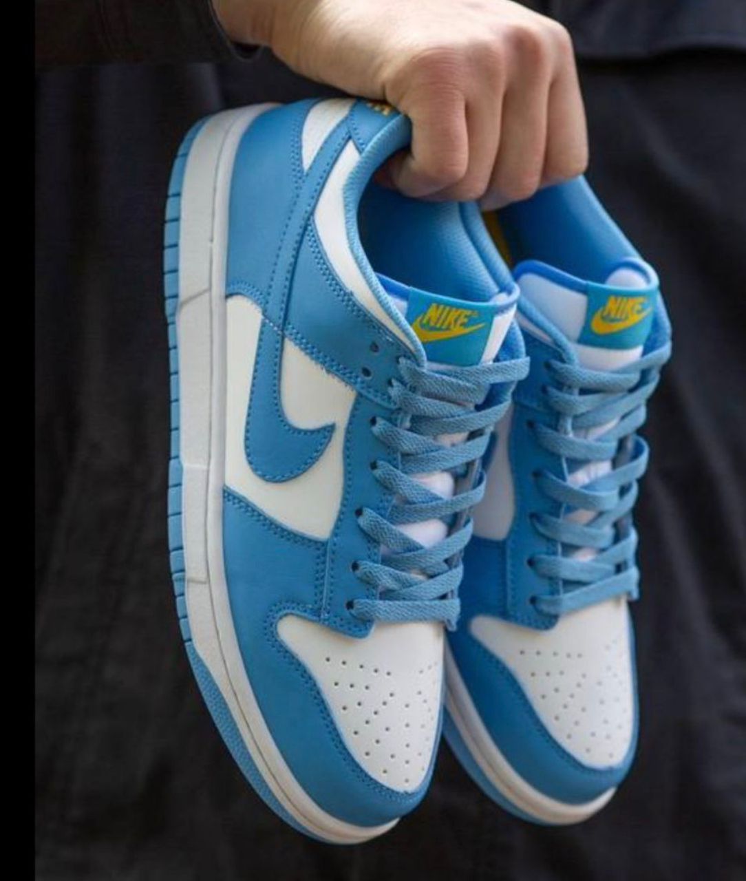 Nike Dunk Low Bleu Blanc