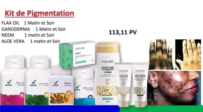KIT DE PIGMENTATION