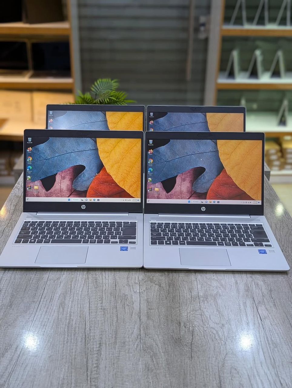 HP ProBook MT22 Intel Core i2 8ᵉ Génération
