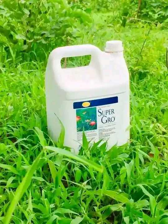 Super Gro