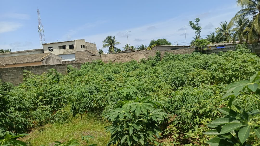 Terrain de 600 m² à Vendre à Lomé
