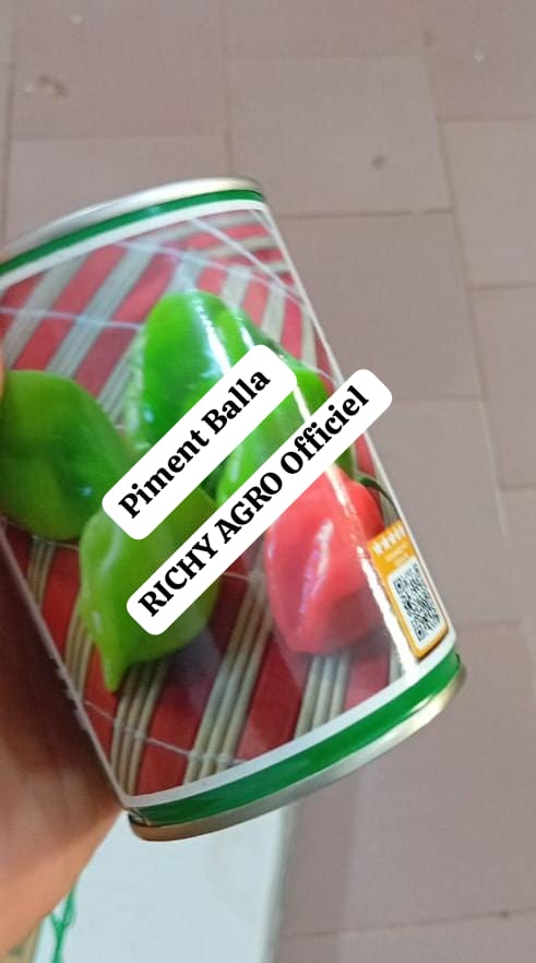 Semences de piment