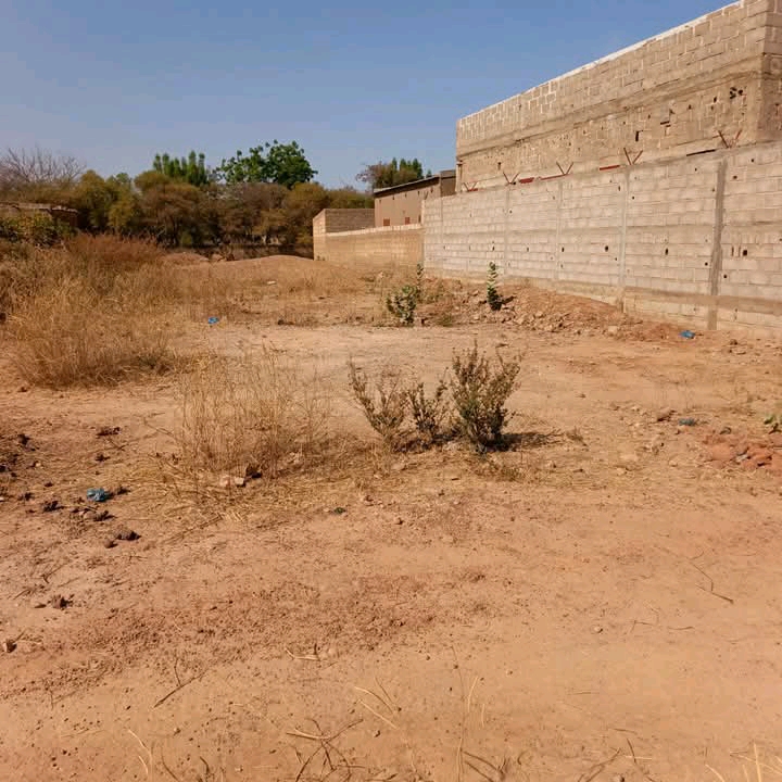 Terrain de 250 m² à vendre à Ouagadougou