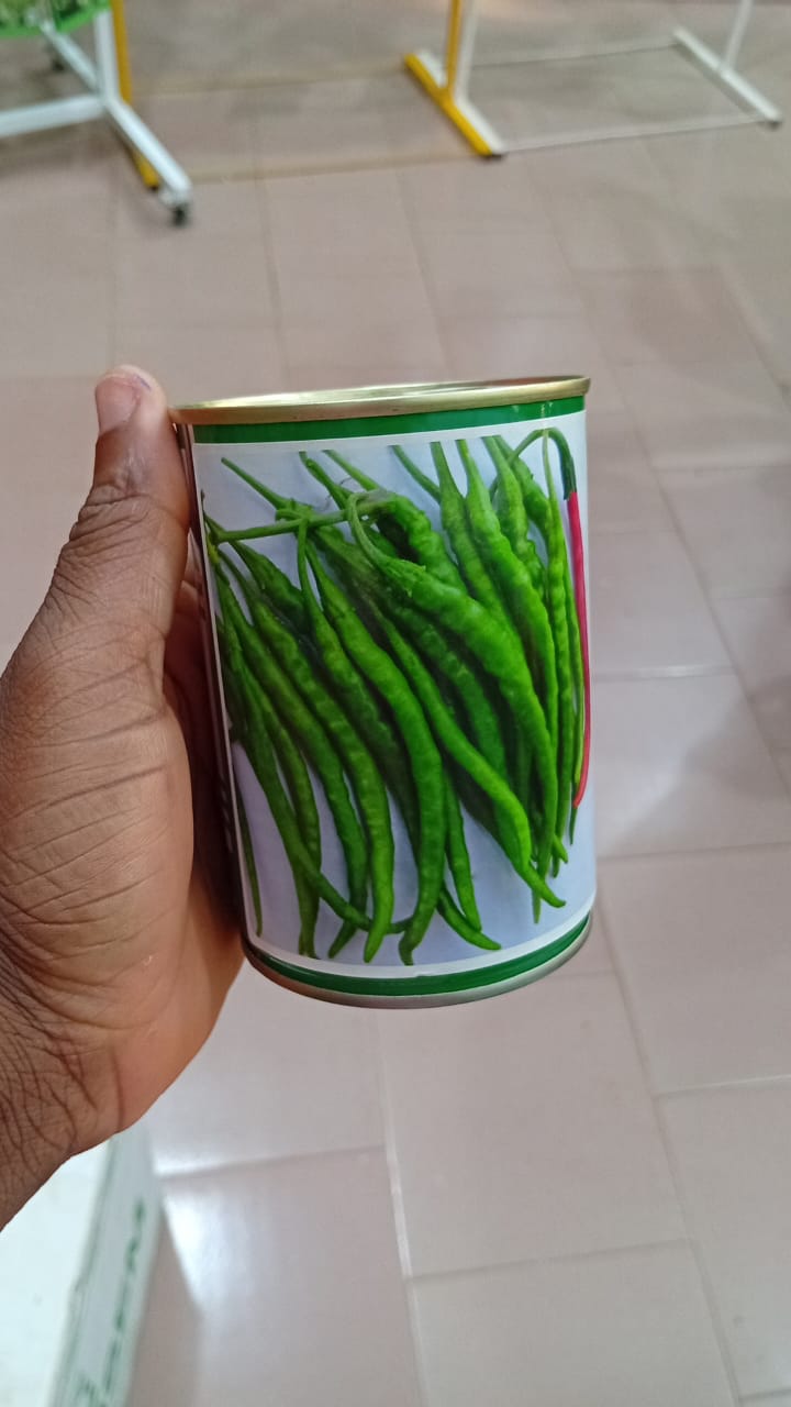 Semences de piment